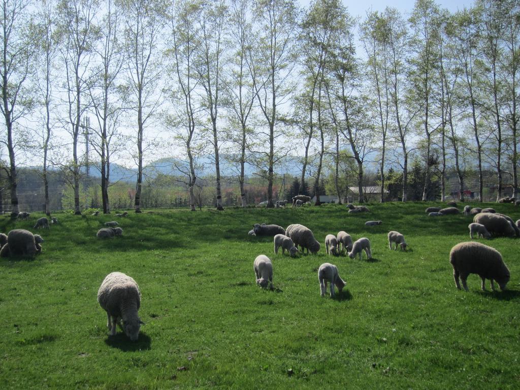 Yorkshire Farm Villa Shintoku Buitenkant foto